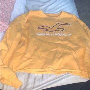 Hollister cropped sweatshirt